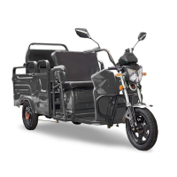 Грузовой электротрицикл Rutrike Вояж-П 1200 Трансформер 60V800W Темно-серый