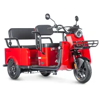 Электротрицикл Wanshida LC-F200 60V 1000Вт Красный